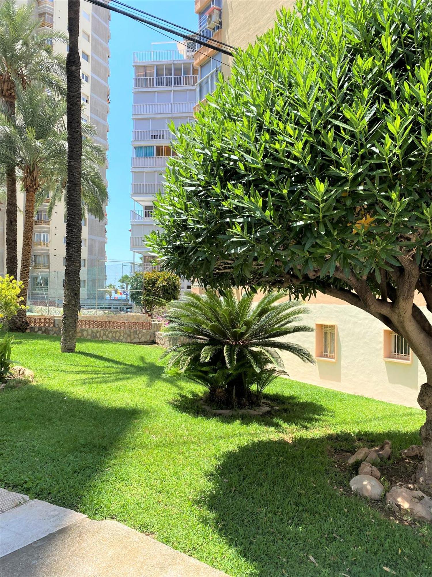 בנידורם Carabelas Apartments מראה חיצוני תמונה